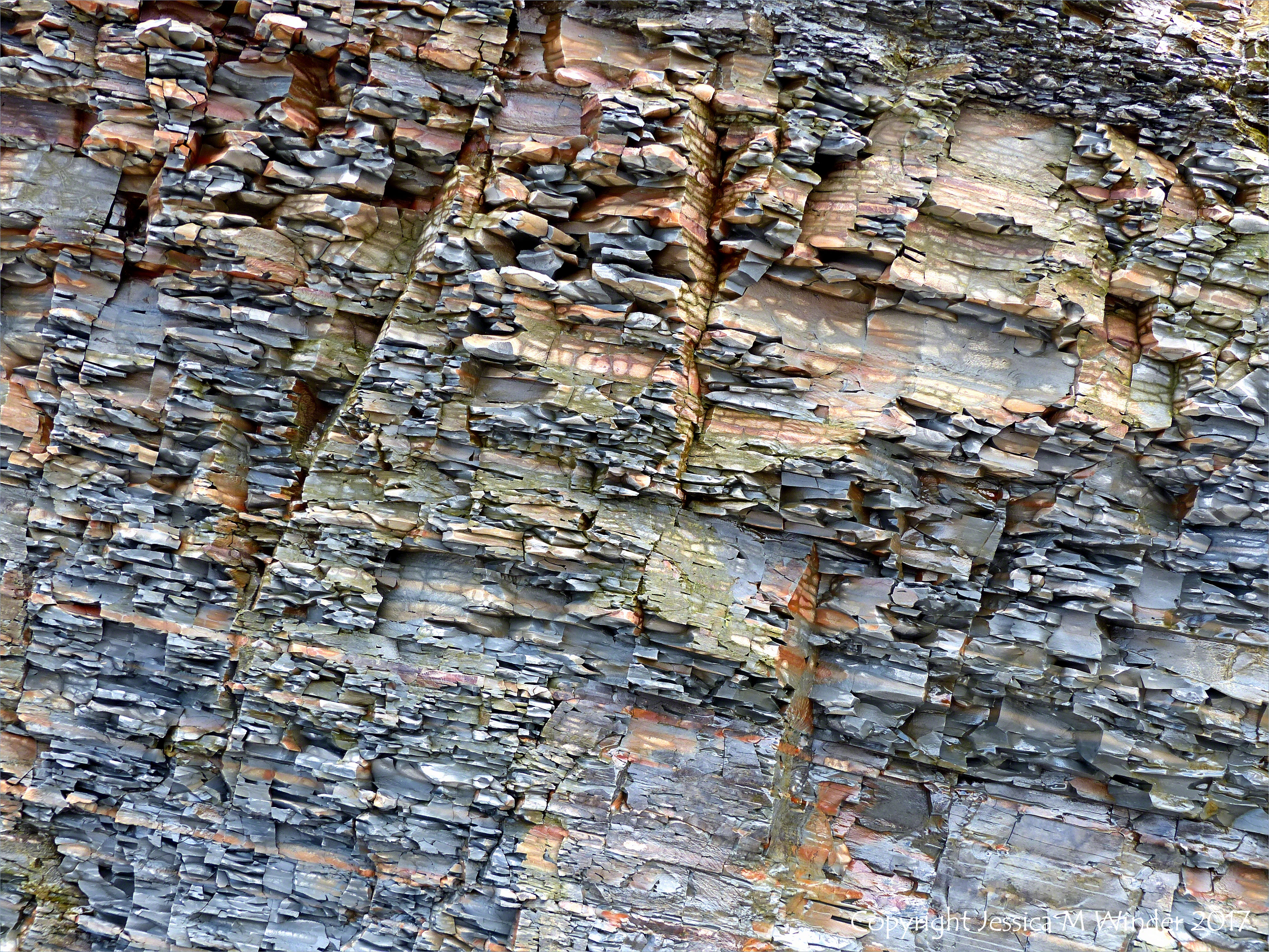 Joggins Rock Textures 2 – Jessica's Nature Blog