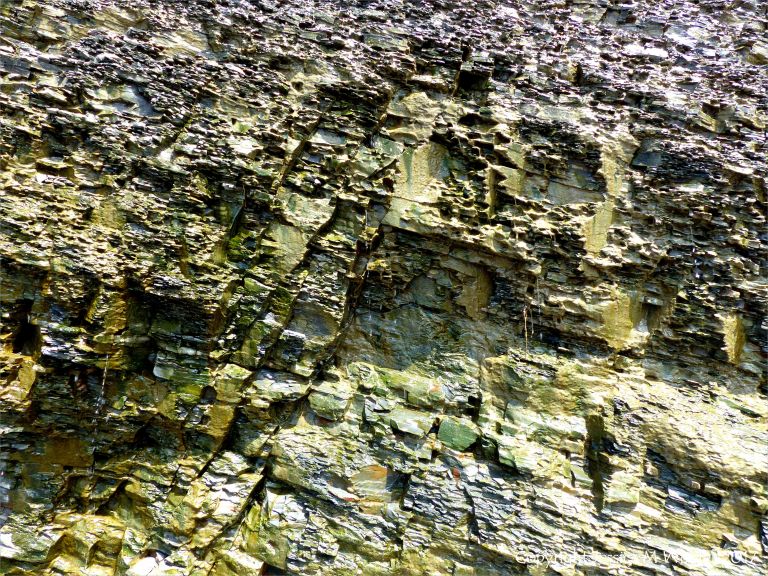 Carboniferous cliff strata with green algal slime