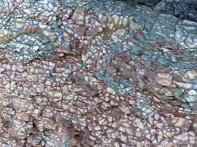 Natural fracture patterns and subtle colour transitions in rocks at Joggins Fossil Cliffs