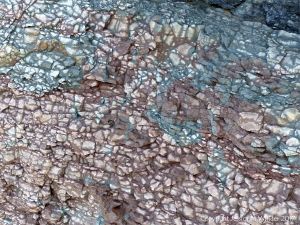 Natural fracture patterns and subtle colour transitions in rocks at Joggins Fossil Cliffs