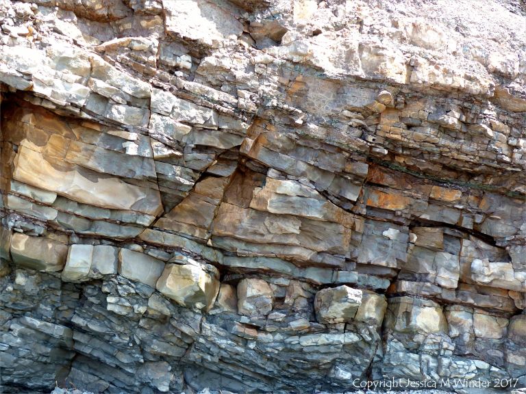 Carboniferous rock strata at Joggins Fossil Cliffs