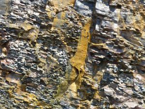 Carboniferous cliff strata with yellow slime