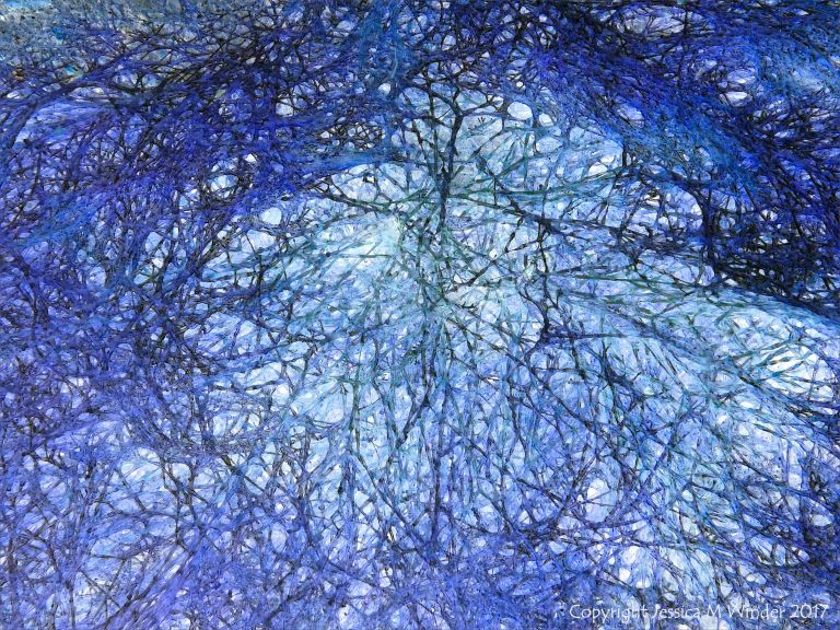 Interconnecting networks of filaments