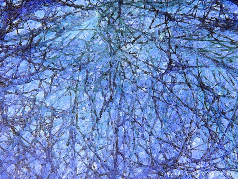 Interconnecting networks of filaments