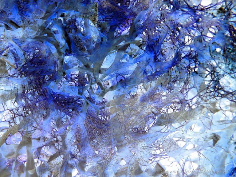 Natural abstract patterns