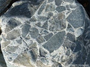 Close-up of rock pattern and texture in a beach boulder at Rousse Point
