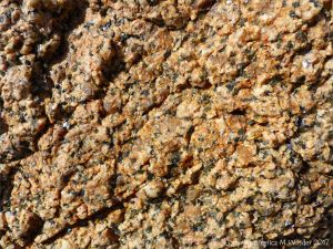 Detail of granite crystal texture at Rousse Point
