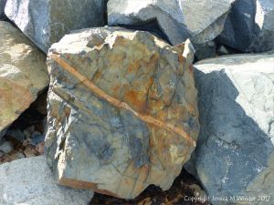 Patterned beach boulder at Rousse Point