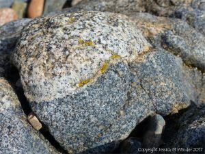 Beach boulder showing junction of two granite types at Rousse Point