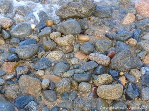 Pebbles at Rousse Point