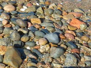 Wet pebbles at Rousse Point