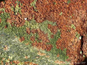 Colourful rock at Rousse Point