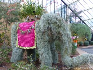 Elephant in the Princess of Wales Conservatory at Kew Gardens