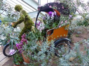 Rickshaw in the Princess of Wales Conservatory at Kew gardens
