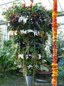 Flowers in the Princess of Wales Conservatory at Kew Gardens