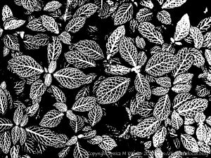 Art inspired by nature - leaf patterns