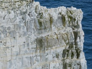 Chalk pattern and texture in cliffs at Studland Bay