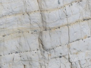Chalk pattern and texture in cliffs at Studland Bay