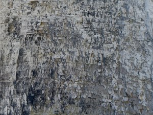 Chalk pattern and texture in cliffs at Studland Bay