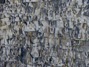 Chalk pattern and texture in cliffs at Studland Bay