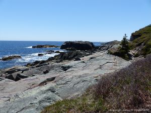 The shoreline with rocks of pyroclastic breccia north of Louisbourg Lighthose in Cape Breton in Nova Scotia