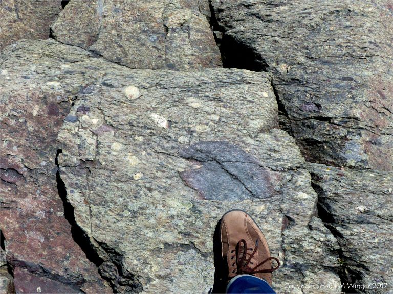 Angular rock fragments embedded in a volcanic ash matrix from a pyroclastic flow in Cape Breton Island
