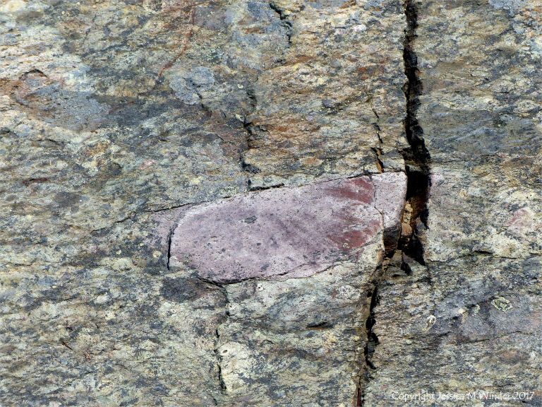 Angular rock fragments embedded in a volcanic ash matrix from a pyroclastic flow in Cape Breton Island