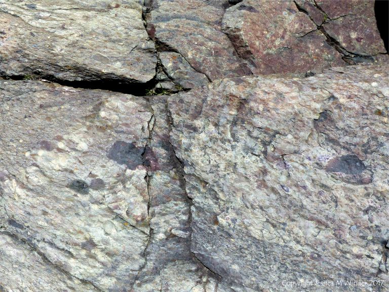 Angular rock fragments embedded in a volcanic ash matrix from a pyroclastic flow in Cape Breton Island
