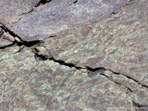 Angular rock fragments embedded in a volcanic ash matrix from a pyroclastic flow in Cape Breton Island