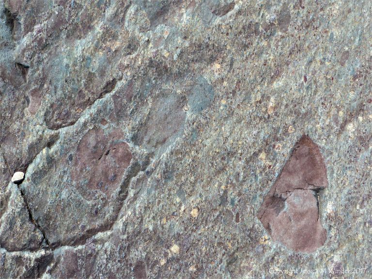 Angular rock fragments embedded in a volcanic ash matrix from a pyroclastic flow in Cape Breton Island