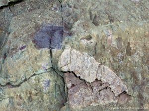 Angular rock fragments embedded in a volcanic ash matrix from a pyroclastic flow in Cape Breton Island