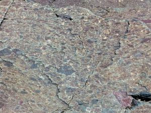 Angular rock fragments embedded in a volcanic ash matrix from a pyroclastic flow in Cape Breton Island