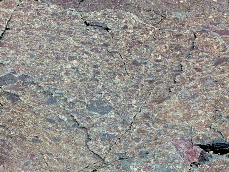 Angular rock fragments embedded in a volcanic ash matrix from a pyroclastic flow in Cape Breton Island