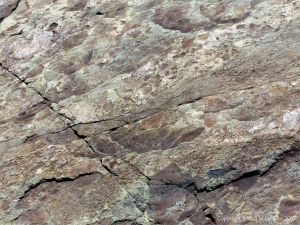 Angular rock fragments embedded in a volcanic ash matrix from a pyroclastic flow in Cape Breton Island