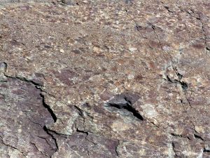 Angular rock fragments embedded in a volcanic ash matrix from a pyroclastic flow in Cape Breton Island