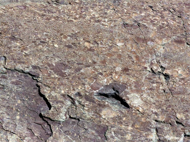 Angular rock fragments embedded in a volcanic ash matrix from a pyroclastic flow in Cape Breton Island