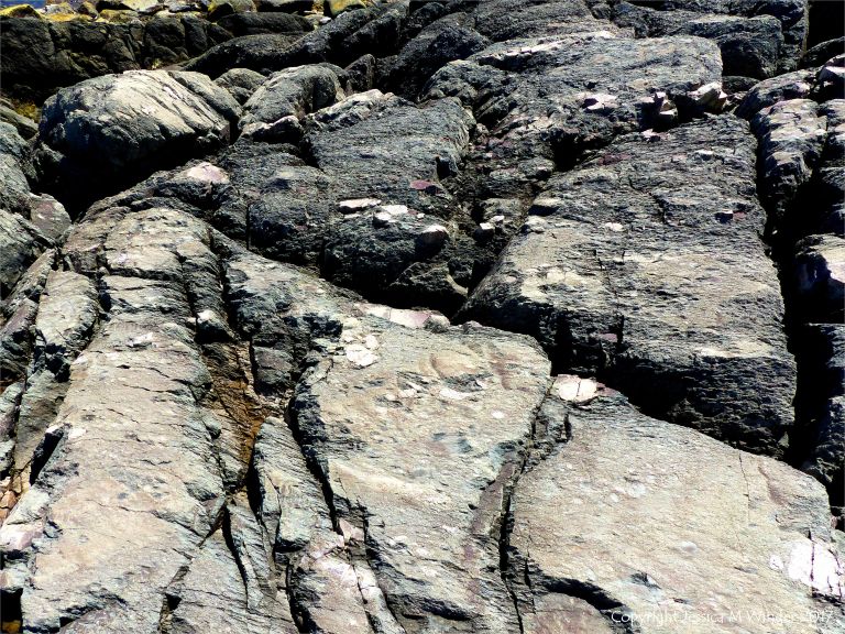 Angular rock fragments embedded in a volcanic ash matrix from a pyroclastic flow in Cape Breton Island
