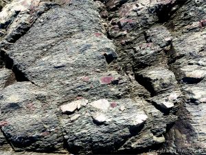 Angular rock fragments embedded in a volcanic ash matrix from a pyroclastic flow in Cape Breton Island