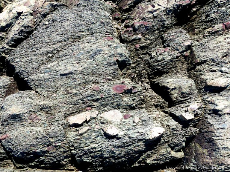 Angular rock fragments embedded in a volcanic ash matrix from a pyroclastic flow in Cape Breton Island