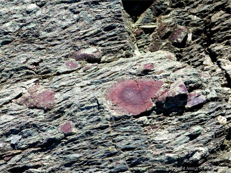 Angular rock fragments embedded in a volcanic ash matrix from a pyroclastic flow in Cape Breton Island