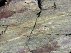 Angular rock fragments embedded in a volcanic ash matrix from a pyroclastic flow in Cape Breton Island
