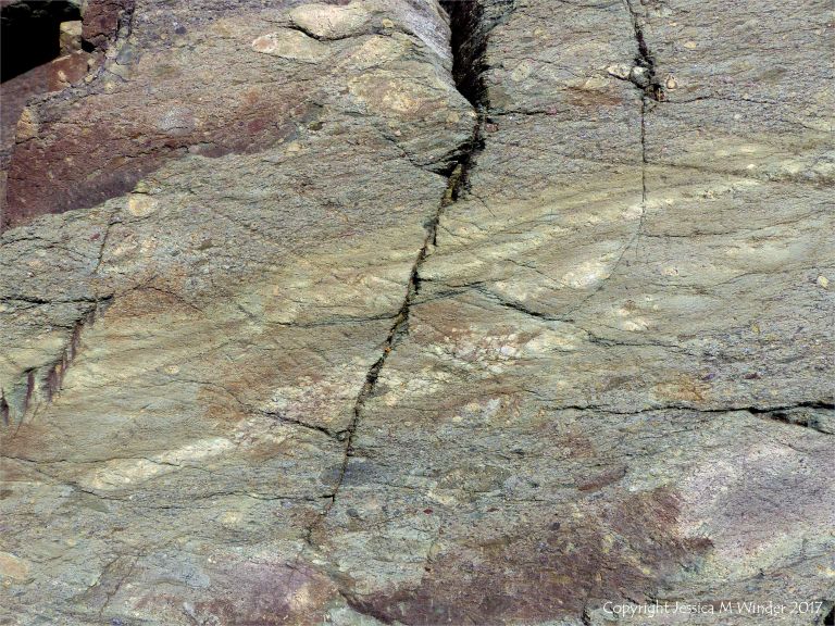 Angular rock fragments embedded in a volcanic ash matrix from a pyroclastic flow in Cape Breton Island