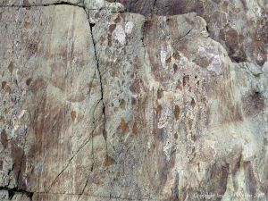 Angular rock fragments embedded in a volcanic ash matrix from a pyroclastic flow in Cape Breton Island