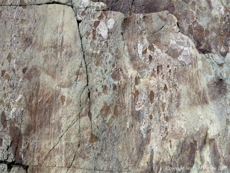 Angular rock fragments embedded in a volcanic ash matrix from a pyroclastic flow in Cape Breton Island