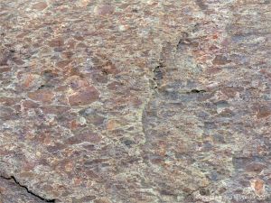 Angular rock fragments embedded in a volcanic ash matrix from a pyroclastic flow in Cape Breton Island