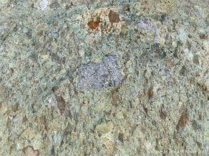 Angular rock fragments embedded in a volcanic ash matrix from a pyroclastic flow in Cape Breton Island