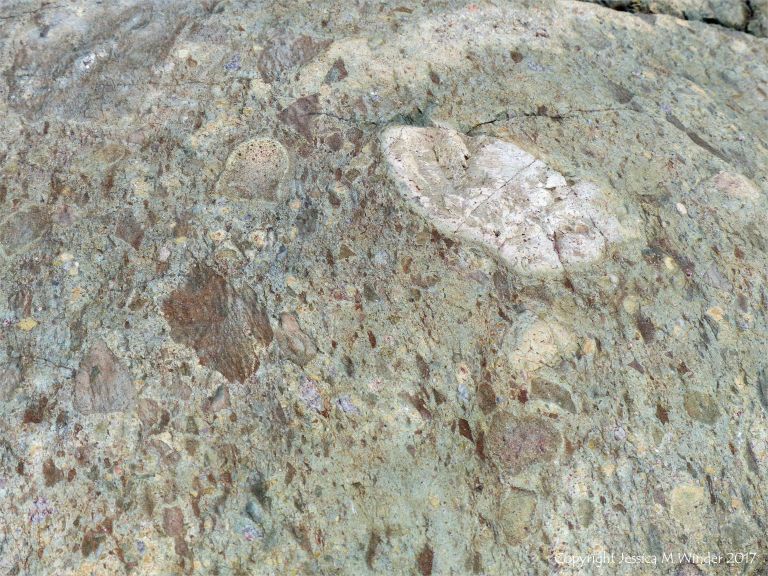 Angular rock fragments embedded in a volcanic ash matrix from a pyroclastic flow in Cape Breton Island