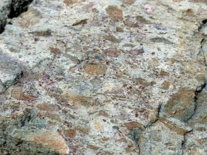 Angular rock fragments embedded in a volcanic ash matrix from a pyroclastic flow in Cape Breton Island