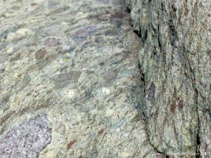 Angular rock fragments embedded in a volcanic ash matrix from a pyroclastic flow in Cape Breton Island