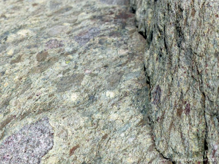 Angular rock fragments embedded in a volcanic ash matrix from a pyroclastic flow in Cape Breton Island